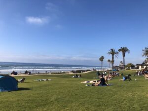Our park by the beach